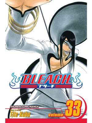cover image of Bleach, Volume 33
